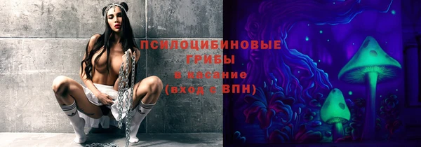 PSILOCYBIN Абдулино