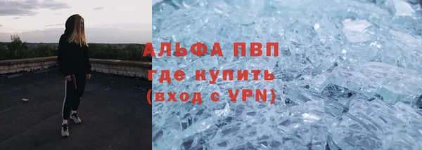 стафф Алексин